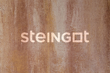 ���������� ������ Steingot �������� "����� ���� Safari �9"