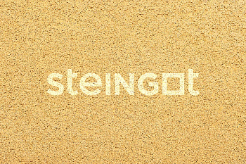 ���������� ������ Steingot �������� ���� "Ƹ����" (������� �������)
